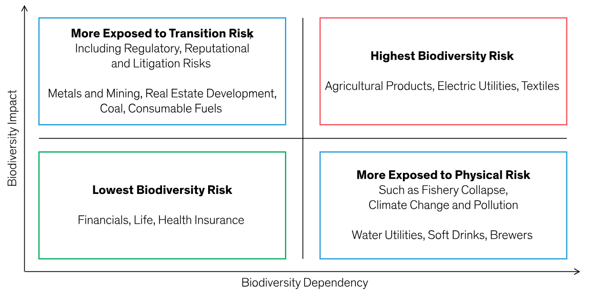 Root And Branch: A Case Study In Assessing Portfolio Biodiversity Risk ...