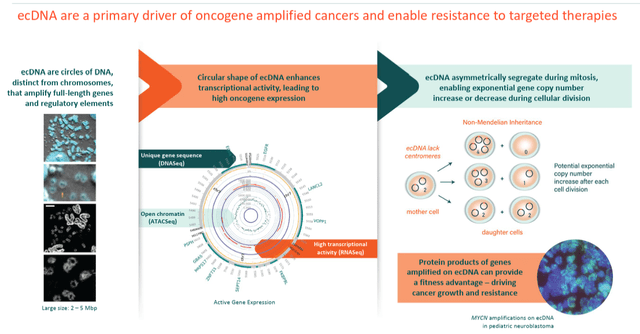 Boundless Bio: Underestimated Biotech With First-In-Class EcDNA ...