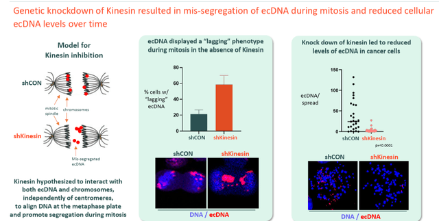 Boundless Bio: Underestimated Biotech With First-In-Class EcDNA ...