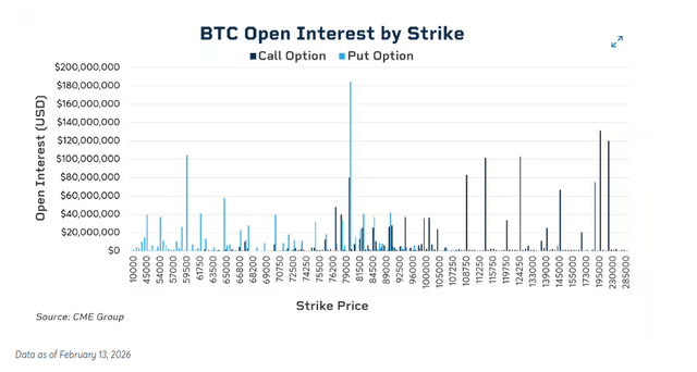 BTC open interest by strike
