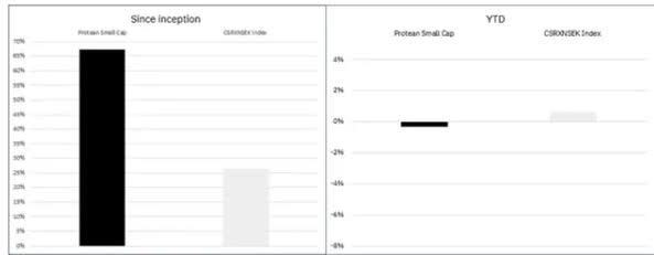 Two bar charts comparing Protean Small Cap and CSRNDEX Index performance. The left chart 'Since Inception' shows Protean Small Cap at approximately 85% and CSRNDEX Index at approximately 20%. The right chart 'YTD' shows Protean Small Cap at approximately -1% and CSRNDEX Index at approximately 1%.