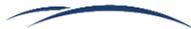 A small blue graphic element resembling a stylized wave or a signature mark.