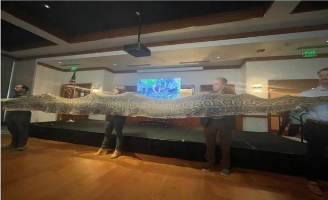 Python presentation