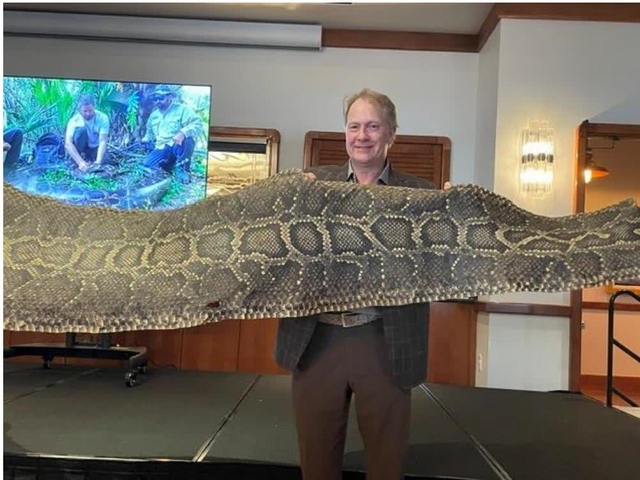 Python presentation