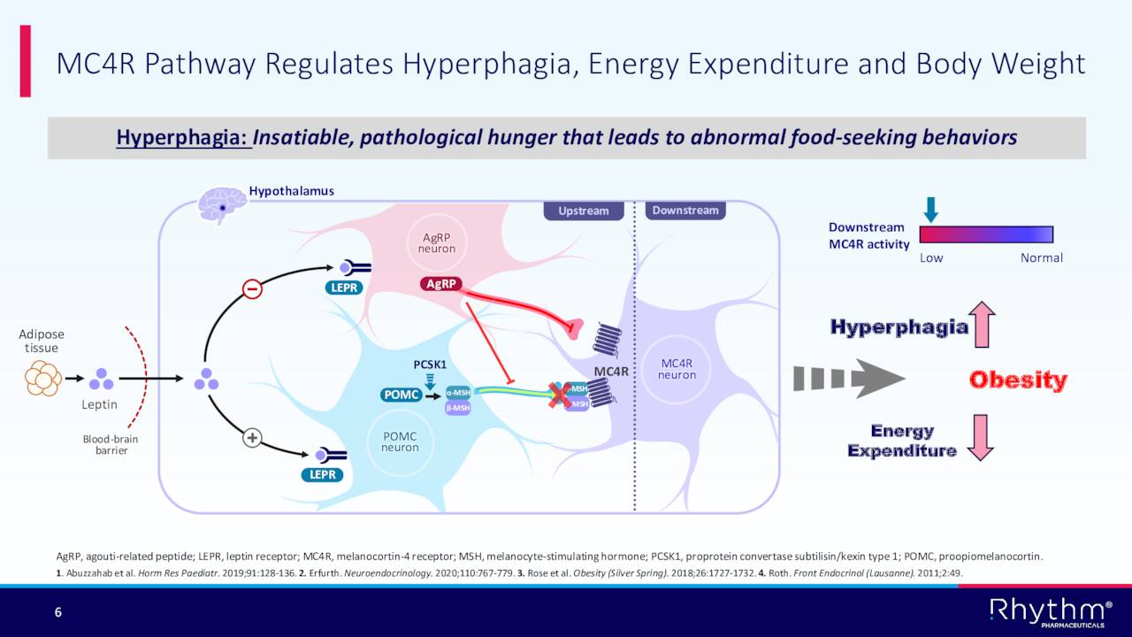 MC4R Pathway Regulates Hyperphagia, Energy Expenditure and Body Weight