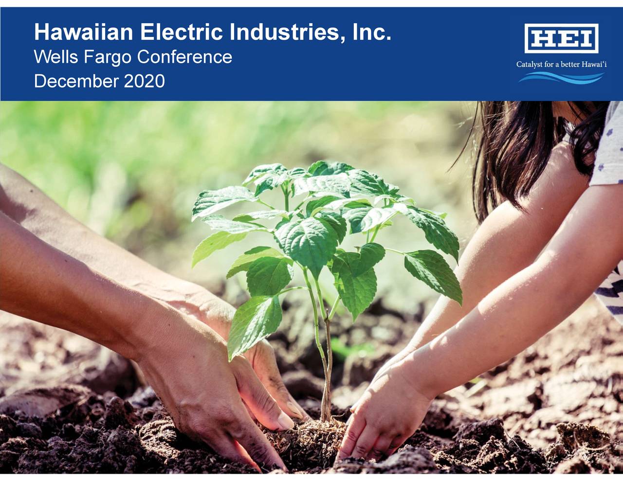 Hawaiian Electric Industries (HE) Presents At Wells Fargo Midstream and Utility Conference