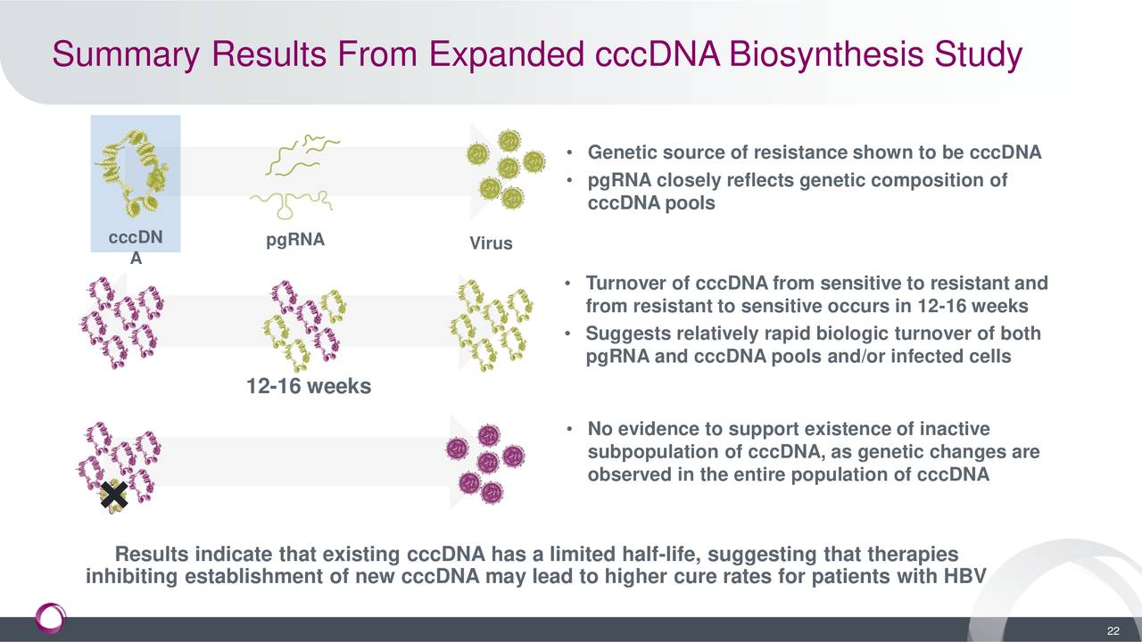Summary Results From Expanded cccDNA Biosynthesis Study