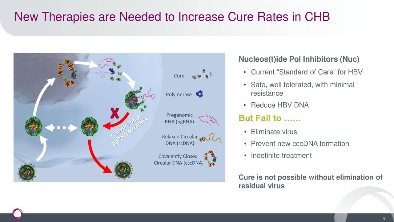 New Therapies are Needed to Increase Cure Rates in CHB