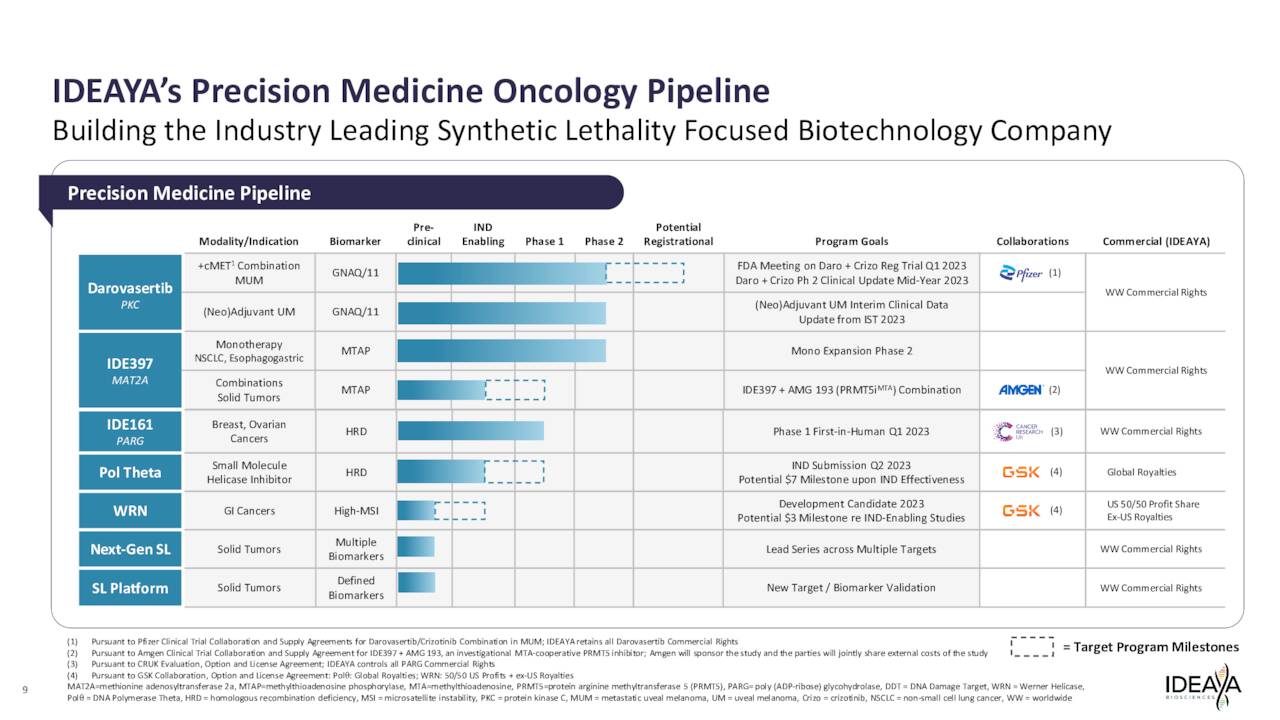 Ideaya Biosciences Lots Of 'Shots On Goal' And Potential