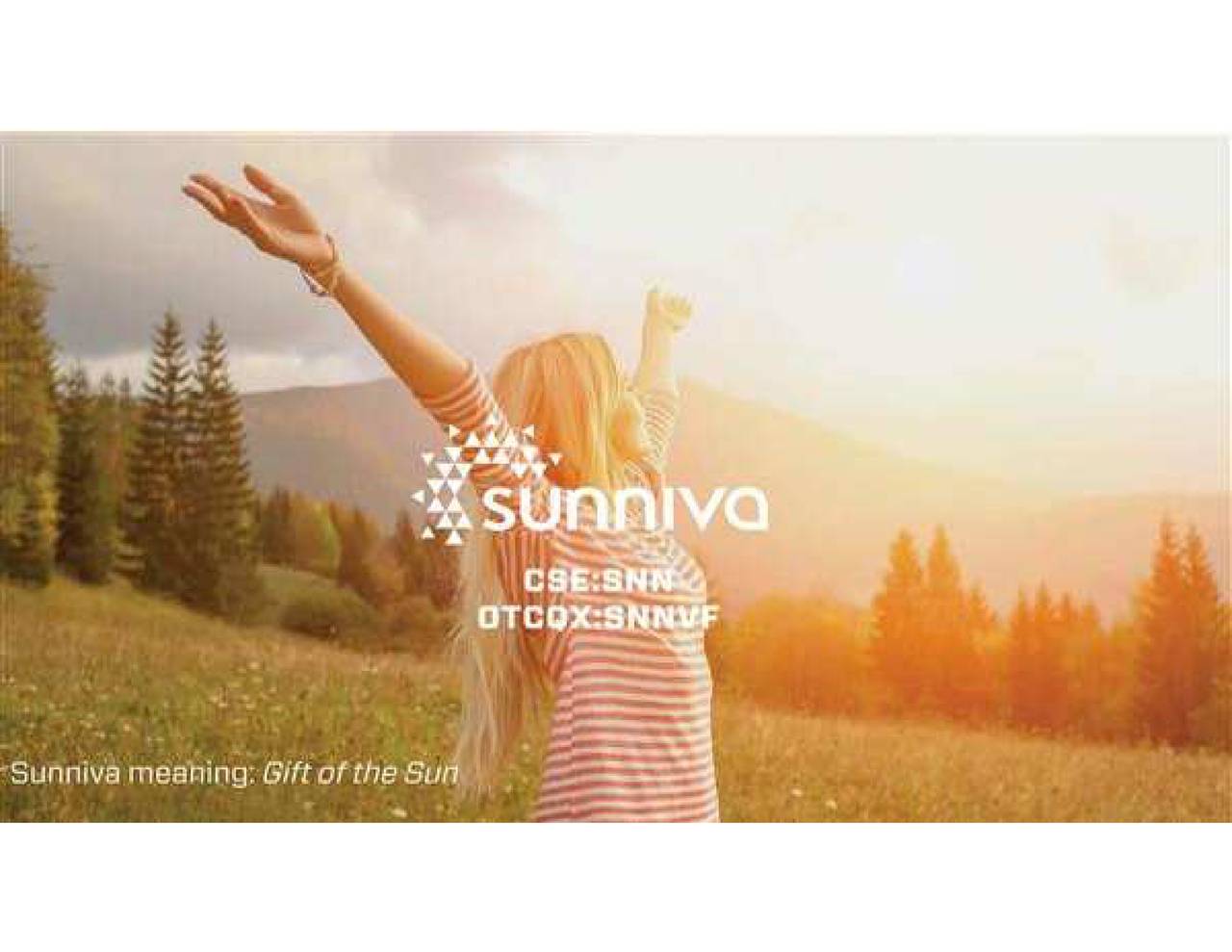 SNNVF Stock News and Price / Sunniva Inc - Stock Price Quote and News - Fintel.io1280 x 989