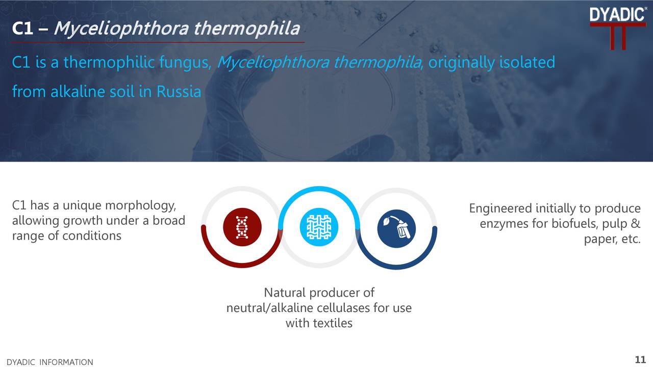 Dyadic International (DYAI) Investor Presentation - Slideshow (NASDAQ ...