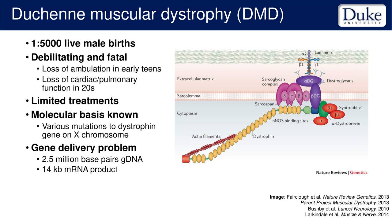 Sarepta Therapeutics (SRPT) Presents At Annual Meeting of the American
