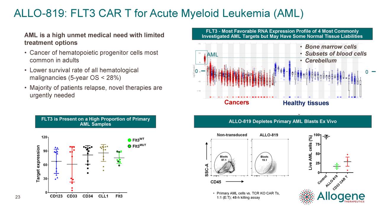 ALLO-819: FLT3 CAR T for Acute Myeloid Leukemia (AML)