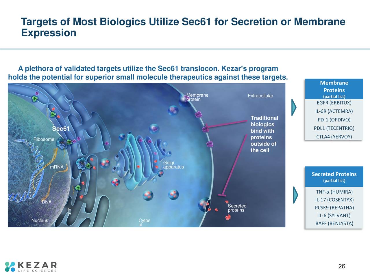 Targets of Most Biologics Utilize Sec61 for Secretion or Membrane