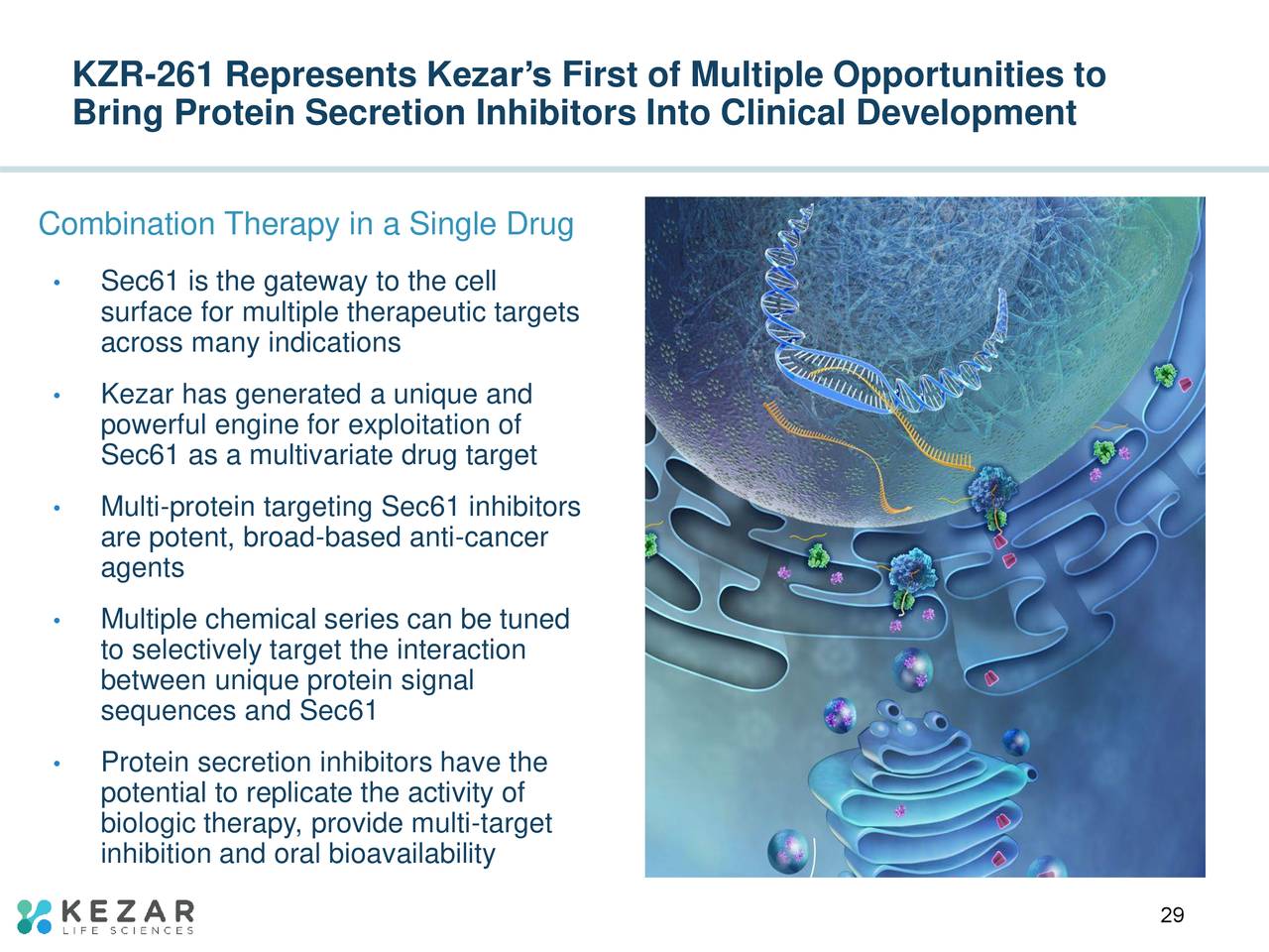 KZR-261 Represents Kezar’s First of Multiple Opportunities to