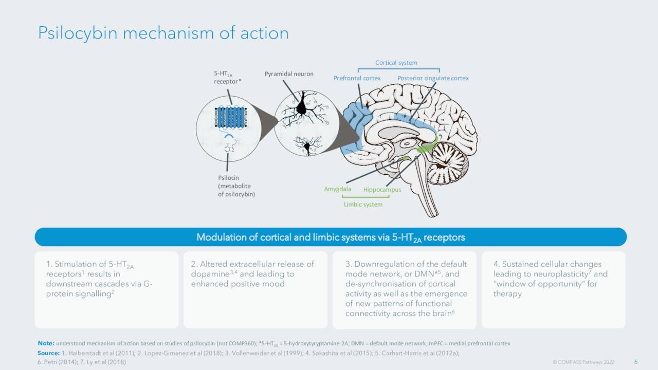 Psilocybin mechanism of action