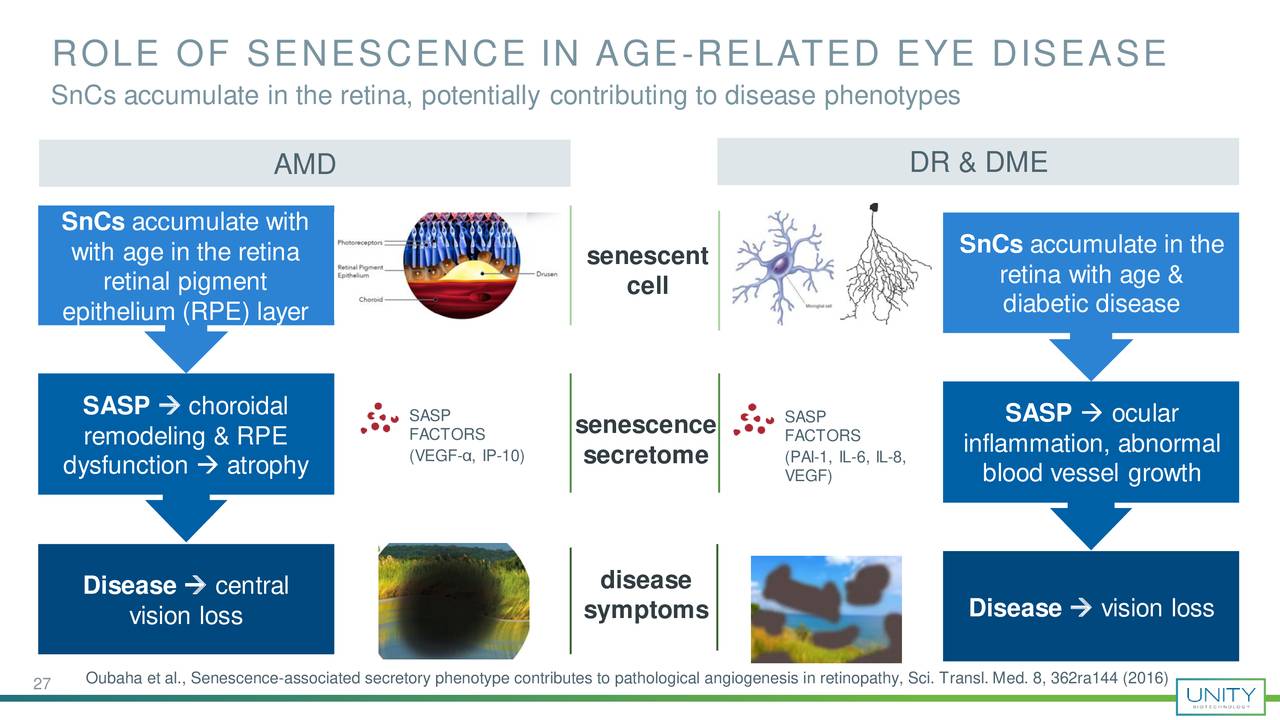 ROLE OF SENESCENCE IN AGE-RELATED EYE DISEASE