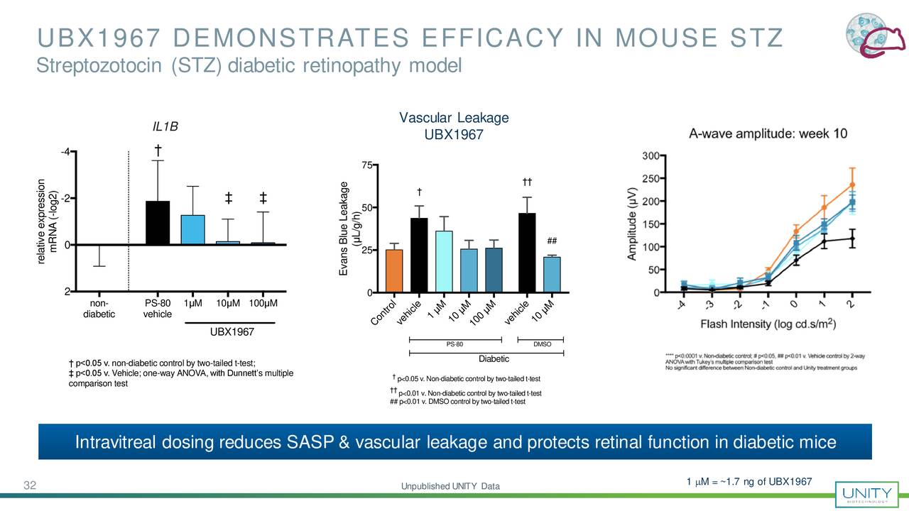 UBX1967 DEMONSTRATES EFFICACY IN MOUSE STZ
