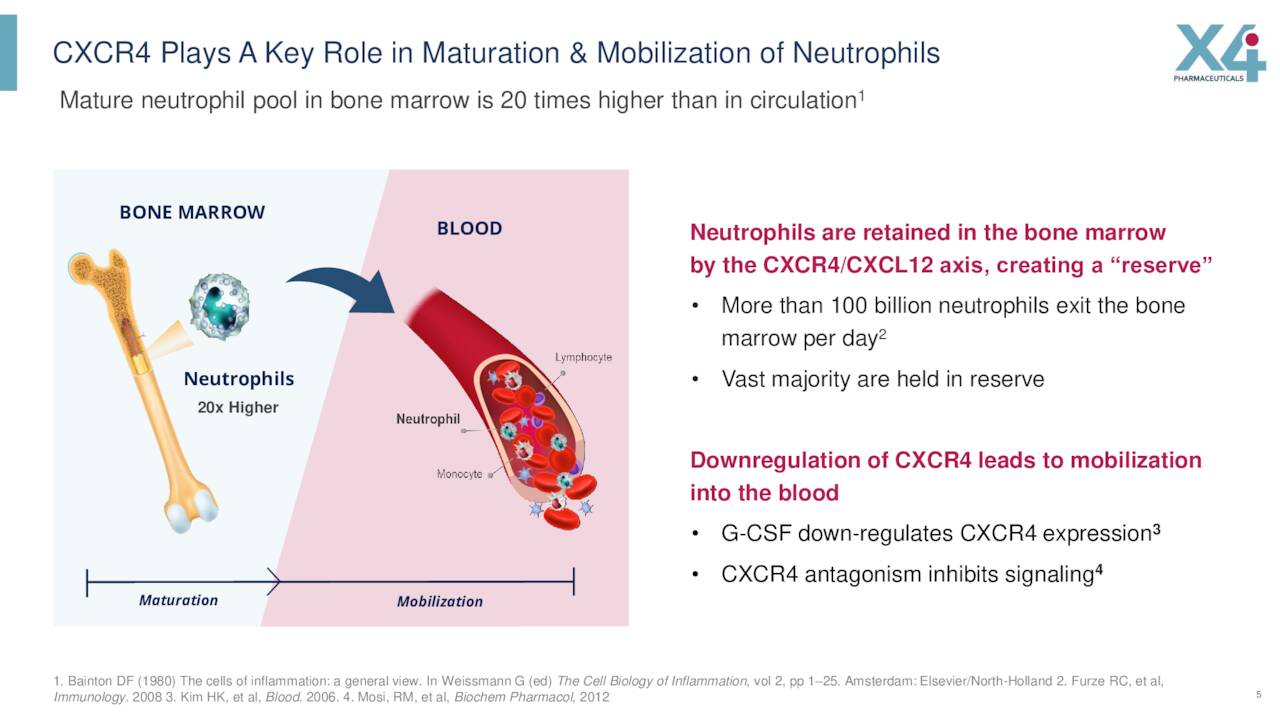 CXCR4 Plays A Key Role in Maturation & Mobilization of Neutrophils
