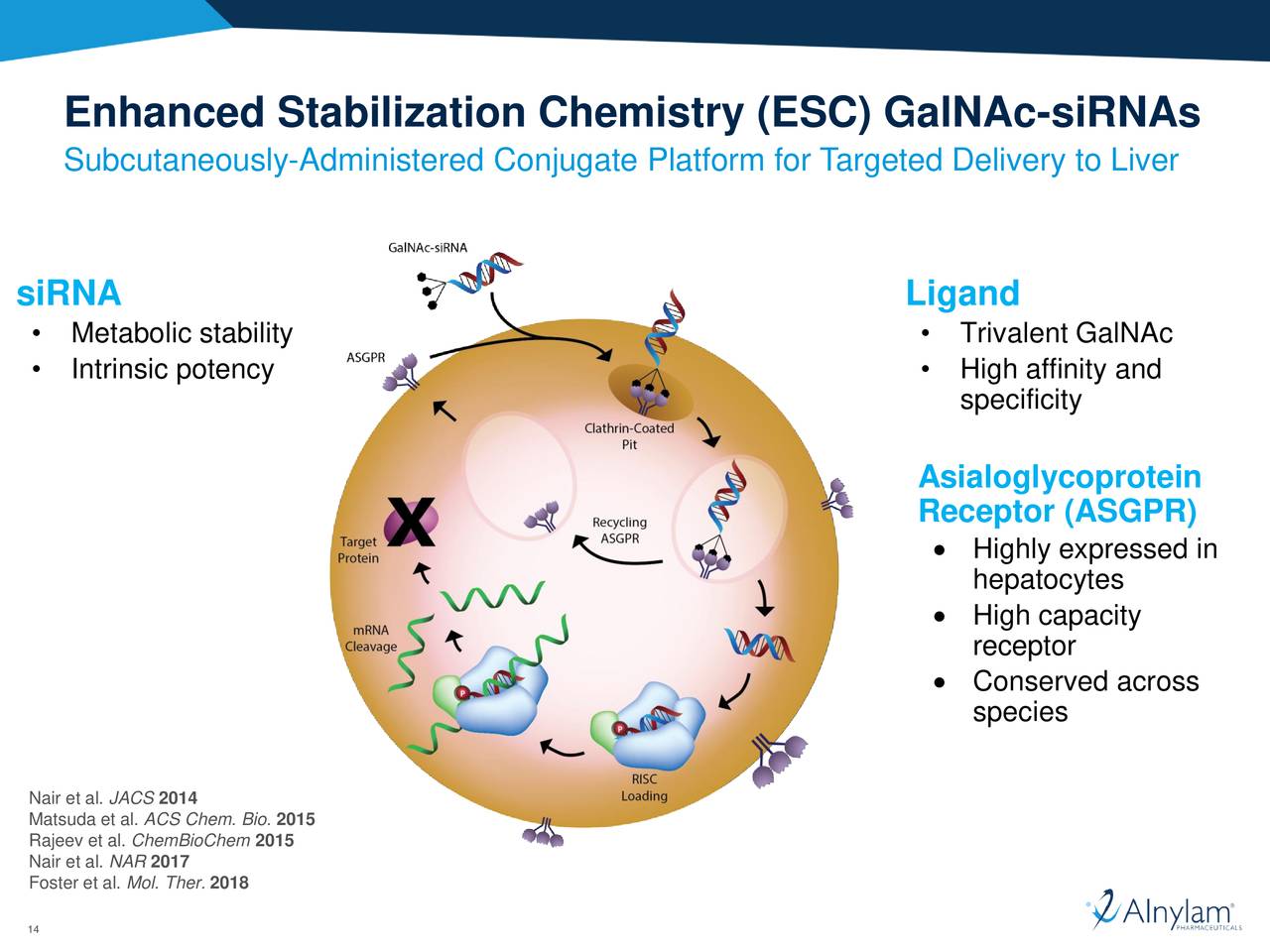 Alnylam Pharmaceuticals (ALNY) Platform Advances In RNAi Therapeutics ...