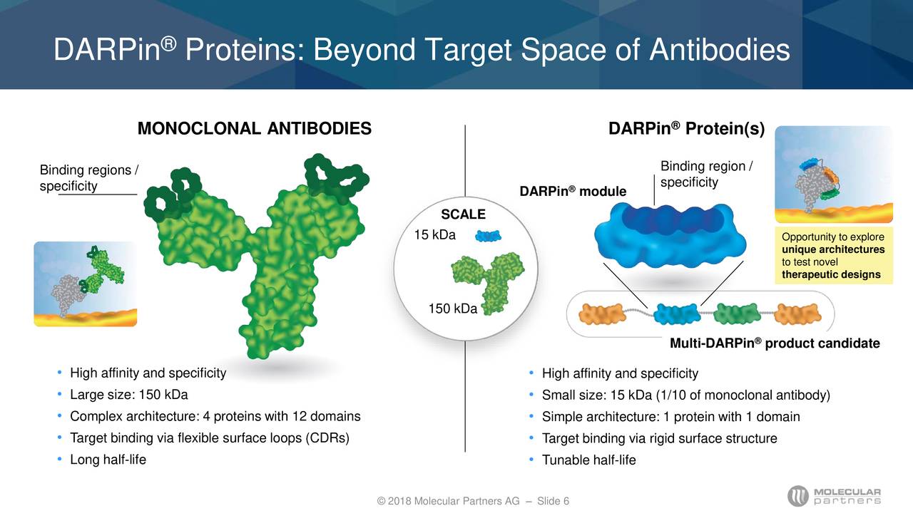 Molecular Partners AG 2018 Q2 - Results - Earnings Call Slides (OTCMKTS ...