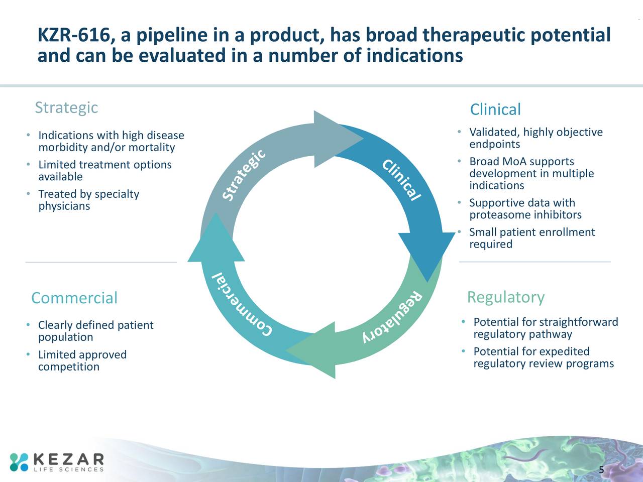 Kezar Life Sciences (KZR) Investor Presentation
