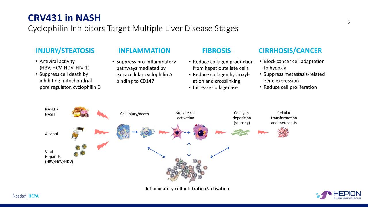 Hepion Pharmaceuticals (HEPA) Investor Presentation - Slideshow (NASDAQ ...