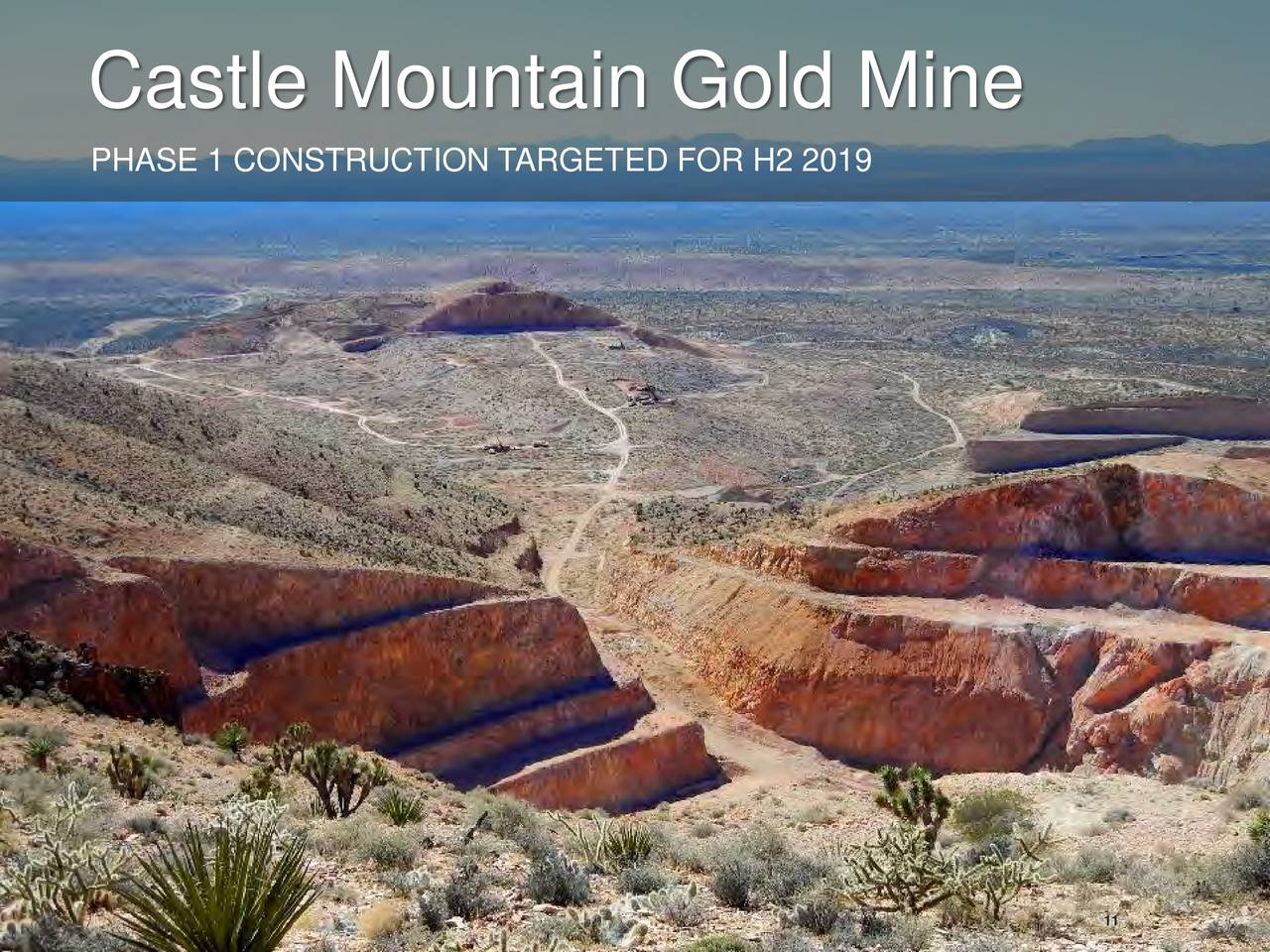 Castle Mountain Gold Mine