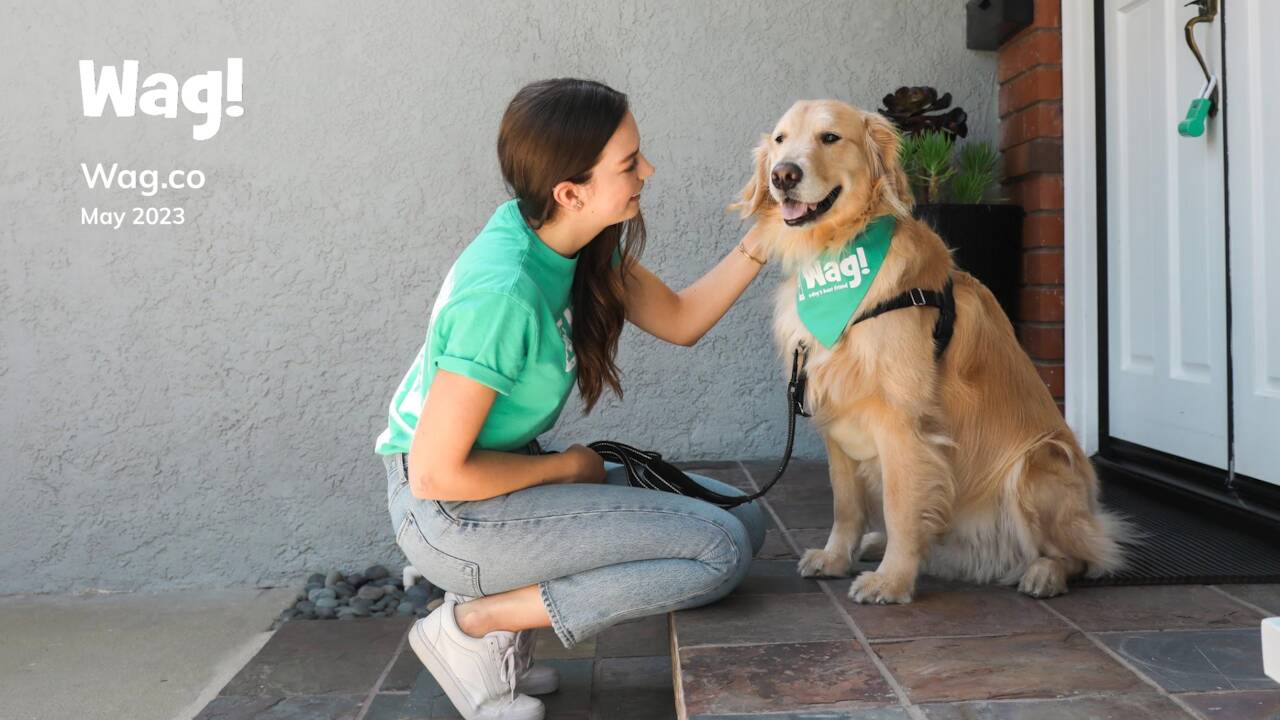 Wag.co