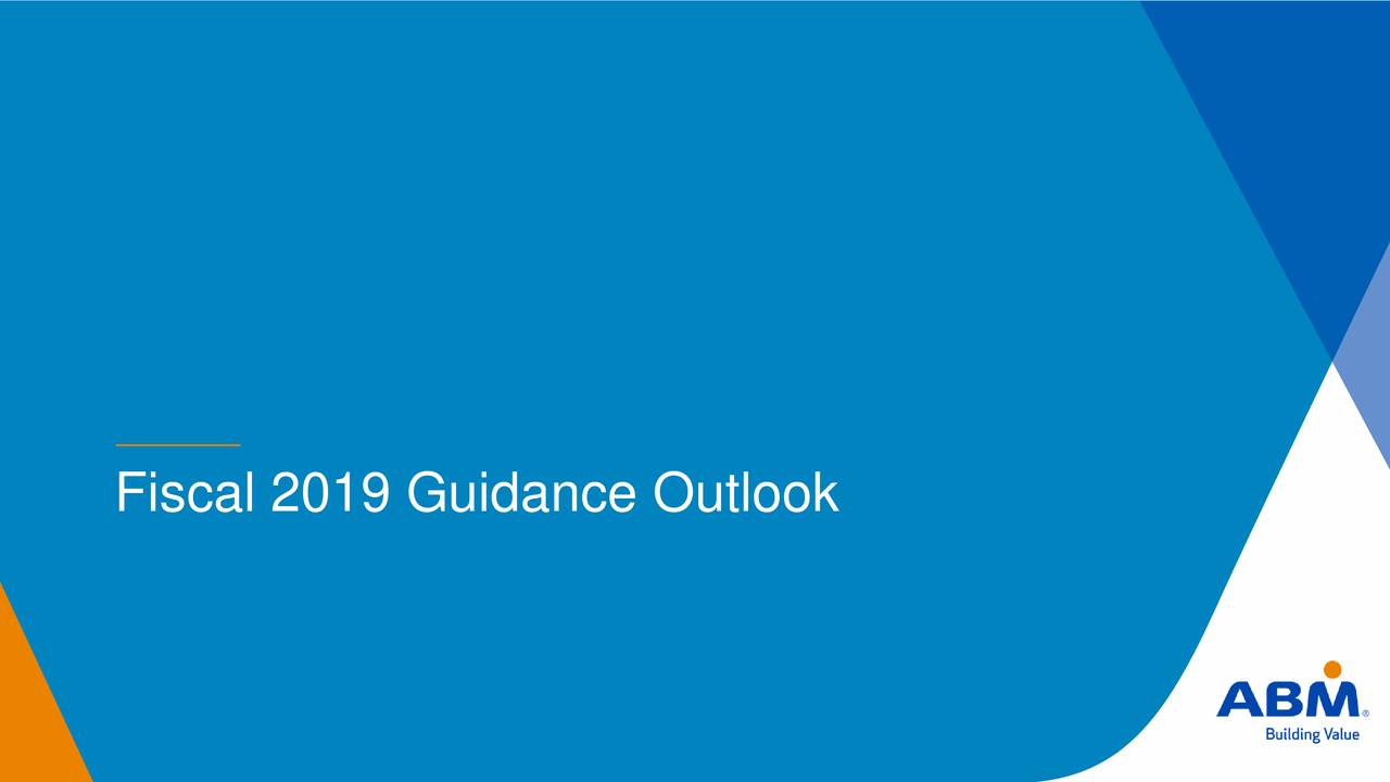Fiscal 2019 Guidance Outlook