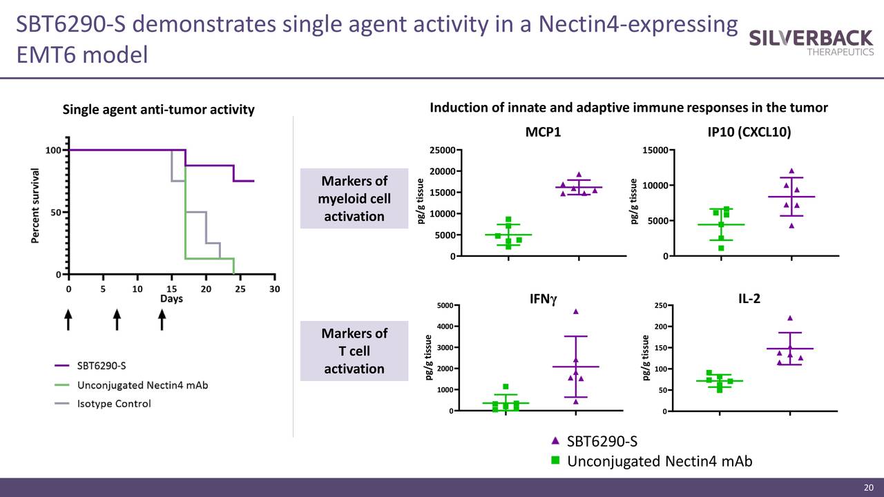 silverback therapeutics silverback therapeutics