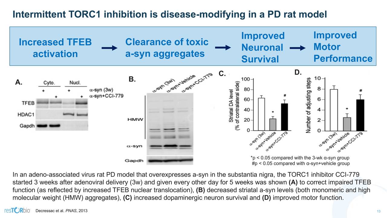 Intermittent TORC1 inhibition is disease-modifying in a PD rat model