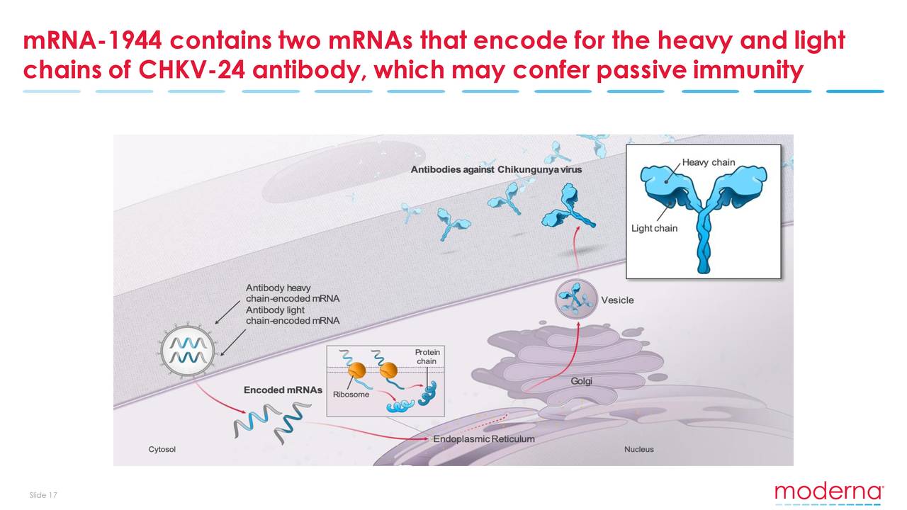 The Moderna Inc Mrna Company A Short Swot Analysis