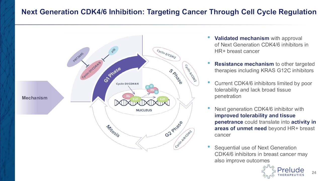 Next Generation CDK4/6 Inhibition: Targeting Cancer Through Cell Cycle Regulation