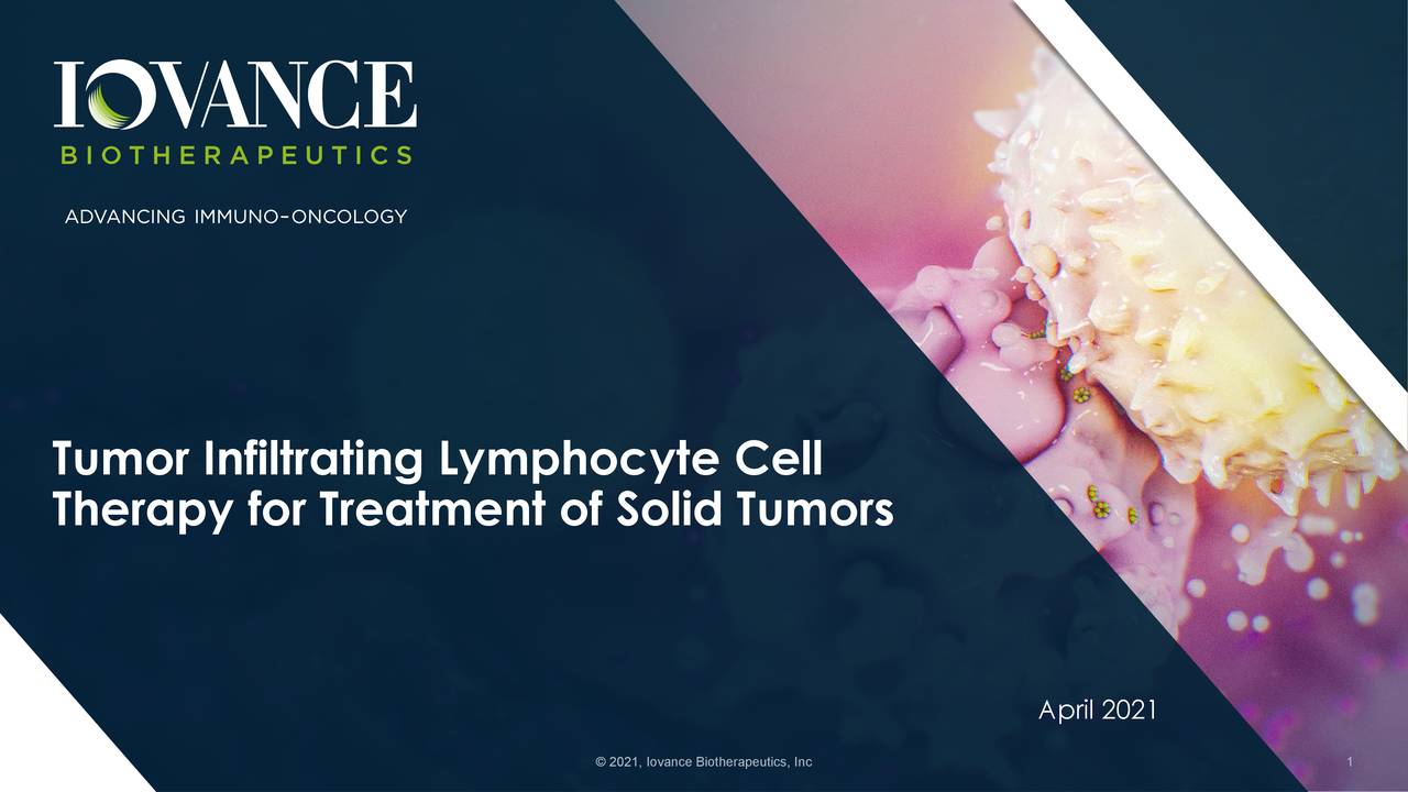 Tumor Infiltrating Lymphocyte Cell