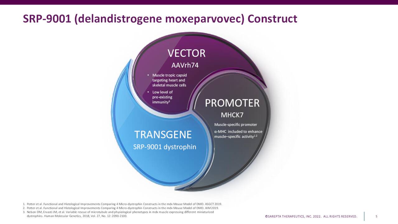 Sarepta Presentations at Nedra Howley blog